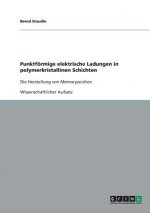 Punktfoermige elektrische Ladungen in polymerkristallinen Schichten