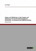 Anbau von OElpflanzen in den Tropen und Subtropen fur die Herstellung biogener Kraftstoffe - Am Beispiel des sudlichen Afrikas