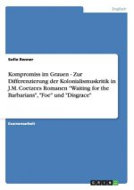 Kompromiss im Grauen - Zur Differenzierung der Kolonialismuskritik in J.M. Coetzees Romanen Waiting for the Barbarians, Foe und Disgrace