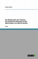 Mathematik des Traumes - Surrealistische Elemente in den Musikvideos von Michel Gondry