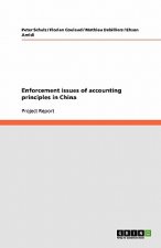 Enforcement issues of accounting principles in China