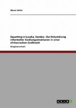 Squatting in Lusaka, Sambia - Zur Entwicklung informeller Siedlungsstrukturen in einer afrikanischen Großstadt