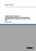 Vergleichende Analyse der Austiegsmoeglichkeiten aus terroristischen Gruppierungen am Beispiel der RAF und der IRA