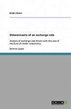 Determinants of an exchange rate