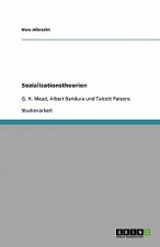 Sozialisationstheorien