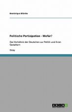 Politische Partizipation - Wofür?