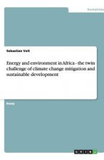 Energy and environment in Africa - the twin challenge of climate change mitigation and sustainable development