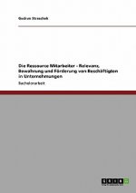 Ressource Mitarbeiter. Relevanz, Bewahrung und Foerderung von Beschaftigten in Unternehmen