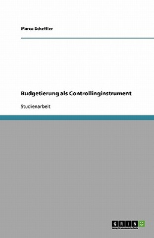 Budgetierung als Controllinginstrument