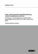 ECM - Elektrochemische Metallbearbeitung und EC-Kombinationsverfahren