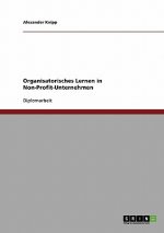 Organisatorisches Lernen in Non-Profit-Unternehmen