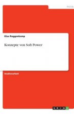 Konzepte von Soft Power