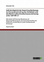 Soll-/Ist-Abgleich der Reporting-Werkzeuge im Personalcontrolling der Fachklinik und des Martin-Luther-Krankenhauses Schleswig unter SAP-HR 4.7