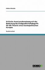 Kritische Auseinandersetzung mit der Bedeutung des Zivilgesellschaftsbegriffs für die Theorie eines kosmopolitischen Europas