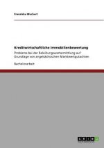 Kreditwirtschaftliche Immobilienbewertung