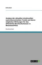 Analyse der aktuellen strukturellen sozio-oekonomischen Trends und deren moeglichen Wirkungen fur das oeffentliche Berufsschulwesen in Rheinland-Pfalz