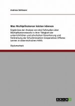 Was Multiplikatoren leisten koennen