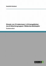 Einsatz von Privatarmeen in Krisengebieten durch Rebellengruppen / Widerstandskampfer