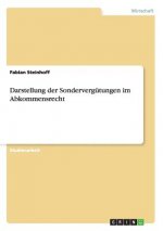 Darstellung der Sondervergutungen im Abkommensrecht