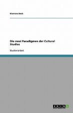 Die zwei Paradigmen der Cultural Studies