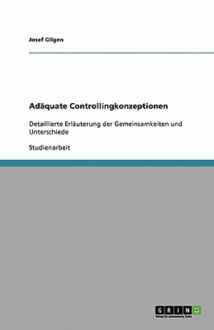 Adaquate Controllingkonzeptionen