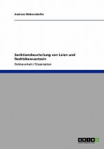 Sanktionsbeurteilung von Laien und Rechtsbewusstsein