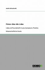 Platon über die Liebe