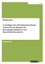 Grundlagen der Identitatsentwicklung - Untersucht am Beispiel des Bewegungsverhaltens in der Mutter-Kind-Interaktion