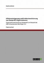 Effizienzsteigerung Und Professionalisierung Von Nonprofit Organisationen.