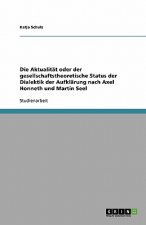 Aktualitat oder der gesellschaftstheoretische Status der Dialektik der Aufklarung nach Axel Honneth und Martin Seel