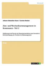 Zins- und Wechselkursmanagement in Kommunen - Teil 2