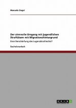 Der sinnvolle Umgang mit jugendlichen Straftätern mit Migrationshintergrund