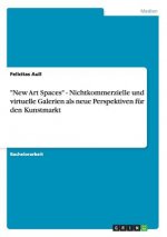New Art Spaces - Nichtkommerzielle und virtuelle Galerien als neue Perspektiven fur den Kunstmarkt