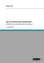 Sino-Afrikanischen Beziehungen