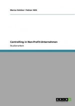 Controlling in Non-Profit-Unternehmen