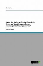 Bietet die Rational-Choice-Theorie im Bezug auf das Wahlparadoxon uberzeugende Loesungsansatze?