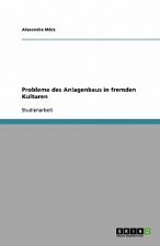 Probleme des Anlagenbaus in fremden Kulturen
