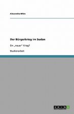 Der Burgerkrieg im Sudan