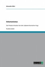 Schamanismus. Die Priesterinitiation Bei Den S damerikanischen Kogi