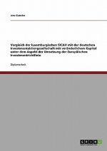Vergleich Der Luxemburgischen Sicav Mit Der Deutschen Investmentaktiengesellschaft Mit Veranderlichem Kapital