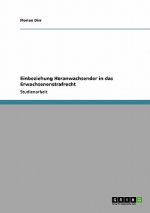 Einbeziehung Heranwachsender in das Erwachsenenstrafrecht