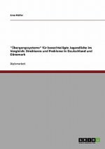 UEbergangssysteme fur benachteiligte Jugendliche im Vergleich. Strukturen und Probleme in Deutschland und Danemark