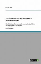 Aktuelle Probleme des  öffentlichen Wirtschaftsrechts