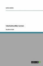 Interkulturelles Lernen