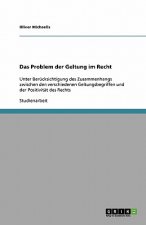 Das Problem der Geltung im Recht