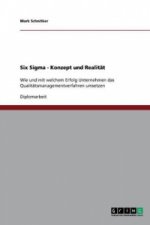 Six Sigma. Konzept und Realitat.