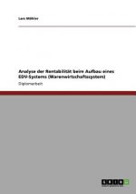 Analyse der Rentabilitat beim Aufbau eines EDV-Systems (Warenwirtschaftssystem)