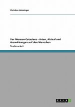 Monsun Ostasiens - Arten, Ablauf und Auswirkungen auf den Menschen