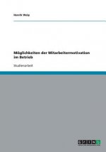 Moeglichkeiten der Mitarbeitermotivation im Betrieb
