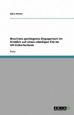 Brasiliens gestiegenes Engagement im Hinblick auf einen standigen Sitz im UN-Sicherheitsrat